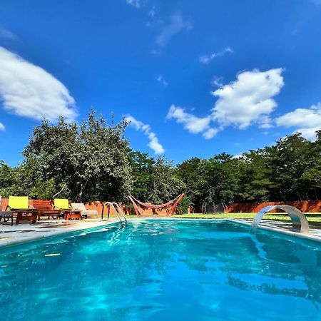 Horace Guesthouse Pool & Hot Tub & Bikes & River Dejani Bagian luar foto