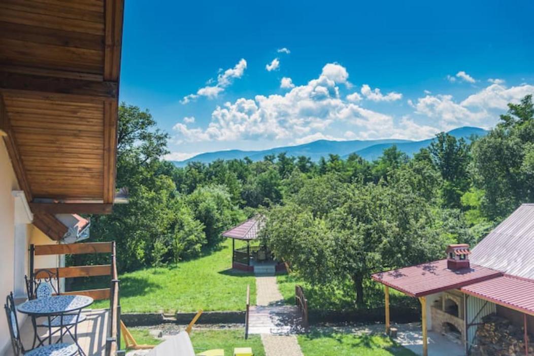 Horace Guesthouse Pool & Hot Tub & Bikes & River Dejani Bagian luar foto