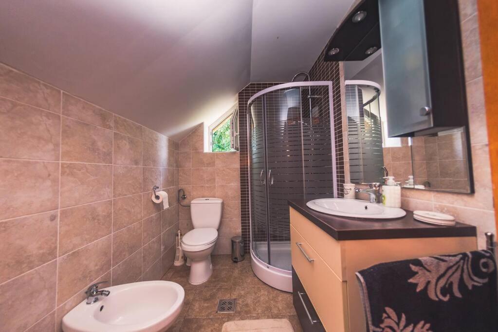 Horace Guesthouse Pool & Hot Tub & Bikes & River Dejani Bagian luar foto