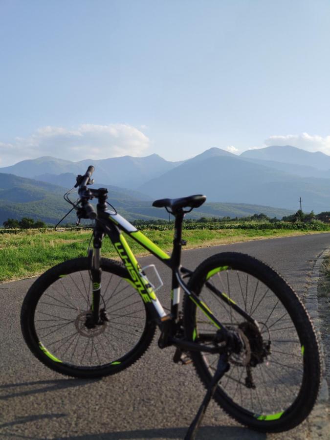 Horace Guesthouse Pool & Hot Tub & Bikes & River Dejani Bagian luar foto