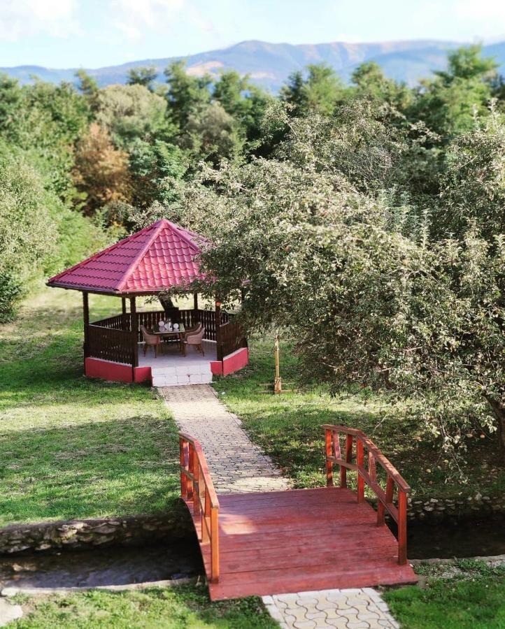Horace Guesthouse Pool & Hot Tub & Bikes & River Dejani Bagian luar foto