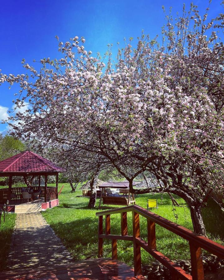 Horace Guesthouse Pool & Hot Tub & Bikes & River Dejani Bagian luar foto
