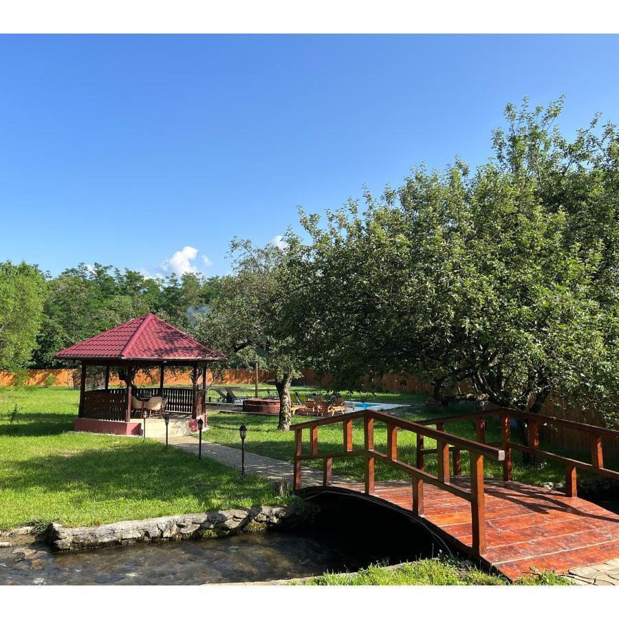 Horace Guesthouse Pool & Hot Tub & Bikes & River Dejani Bagian luar foto